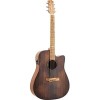 Электроакустическая гитара Randon RGI-10VT-CE